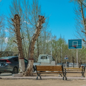 #Фото: "Навч нахиалах цагаар"