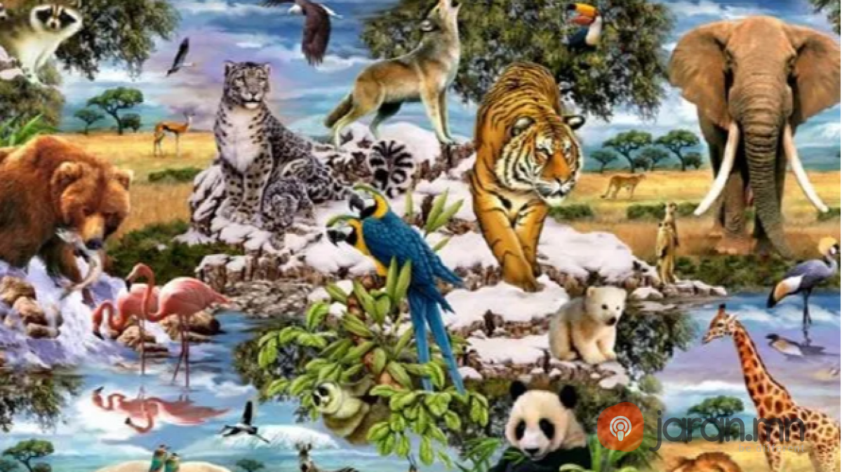 Өнөөдөр зэрлэг амьтан, ургамлыг хамгаалах дэлхийн өдөр тохиож байна