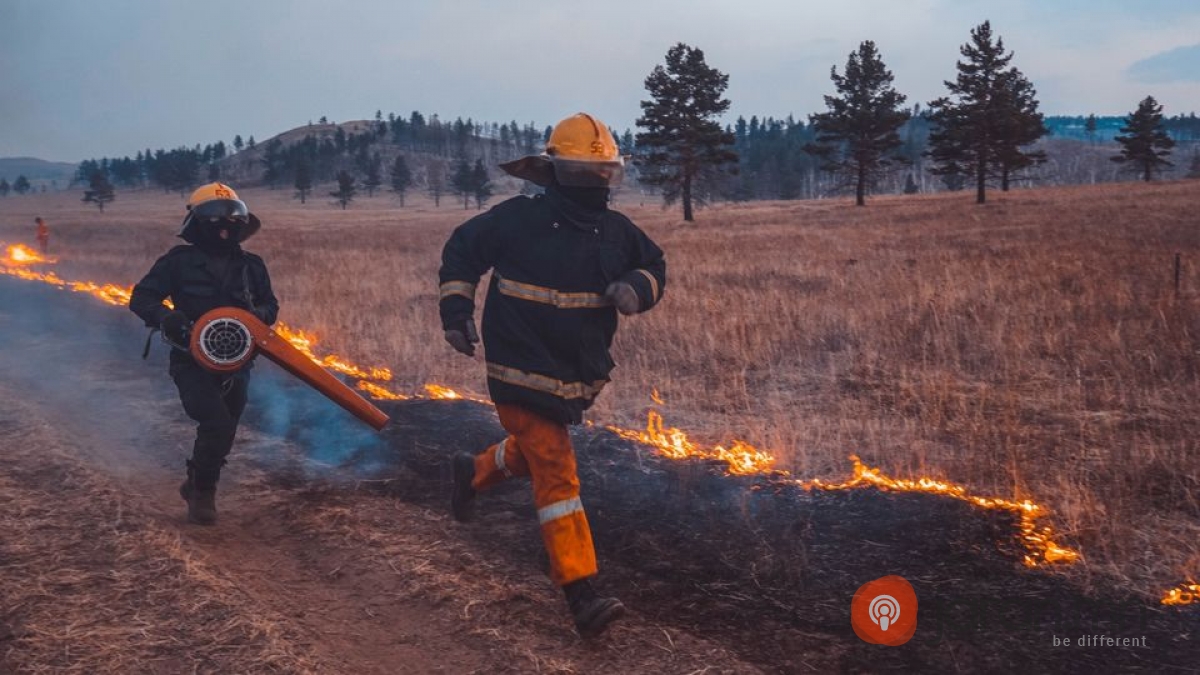 ОЙ ХЭЭРИЙН ТҮЙМРЭЭС УРЬДЧИЛАН СЭРГИЙЛЭХИЙГ САНУУЛЖ БАЙНА 