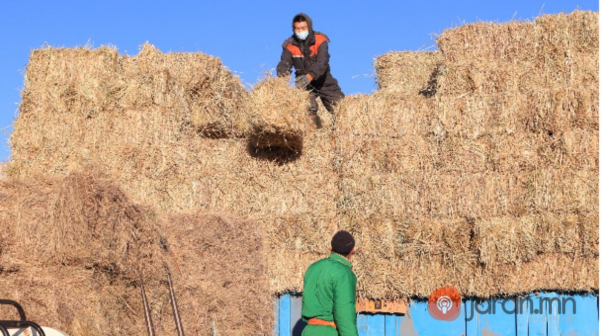 Аймаг сумын аюулгүйн нөөц бүрдүүлэлт 55.1 хувьтай байна